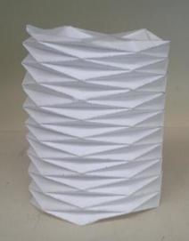 Evelyn's Schwartz lantern.