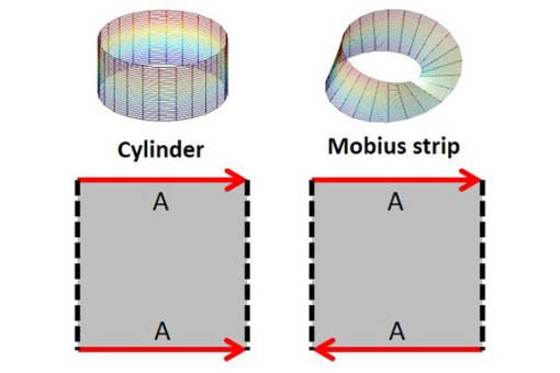 cylinder-mobius